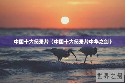 ​中国十大纪录片（中国十大纪录片中华之剑）