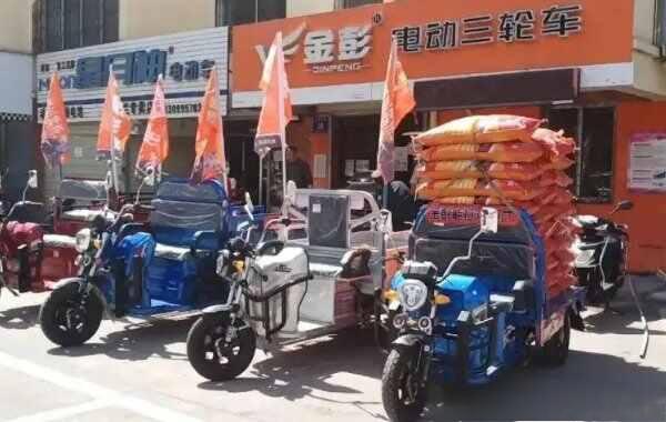 电动三轮车十大品牌排行榜，十大名牌电动三轮车-