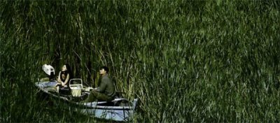 ​金福南事件始末解析电影(这部韩国电影太生猛了，故事和镜头都非常恐怖)