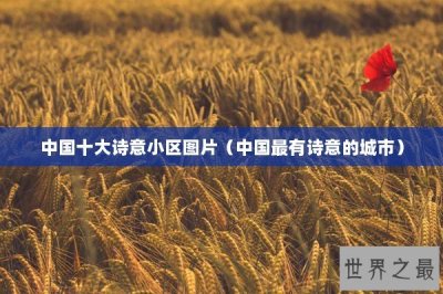 ​中国十大诗意小区图片（中国最有诗意的城市）