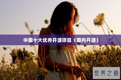 ​中国十大优秀开源项目（国内开源）