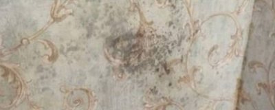 ​回南天墙面的水是从哪里来的 回南天墙上的水是怎么来的