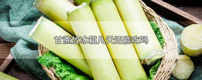 ​甘蔗放冰箱几天还能吃吗为什么会发苦 甘蔗冰箱里放了几天还能吃吗