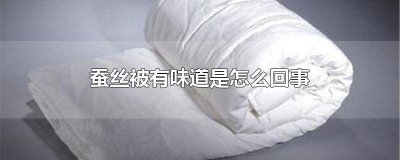 ​新的蚕丝被有味道是怎么回事 蚕丝被有味道是怎么回事啊
