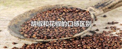 ​胡椒和花椒的口感区别