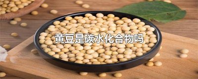 ​黄豆算不算碳水化合物 黄豆属于碳水化合物食物吗?