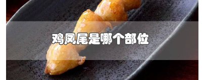 ​鸡的凤尾是什么样子 凤尾是鸡的哪个部位