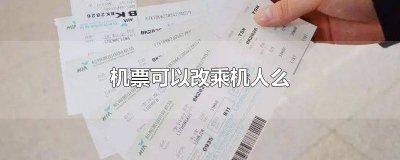 ​机票可以改人乘坐吗 订机票乘机人可以改吗