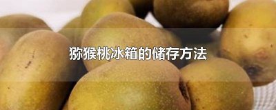 ​猕猴桃冰箱的储存方法 猕猴桃冰箱的储存方法视频