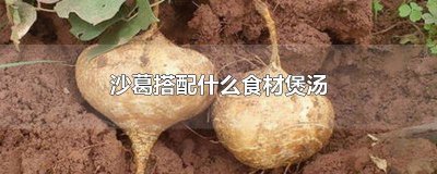 沙葛怎样煲汤好 沙葛怎样煲汤好喝