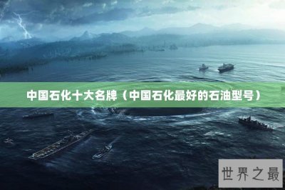 ​中国石化十大名牌（中国石化最好的石油型号）