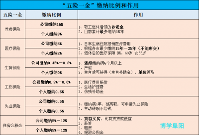 五险是哪五险(“五险一金”缴纳比例和作用)