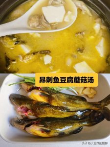 昂刺鱼怎么炖汤?教程来了,加点豆腐和白蘑菇,真的鲜到眉毛掉下来!