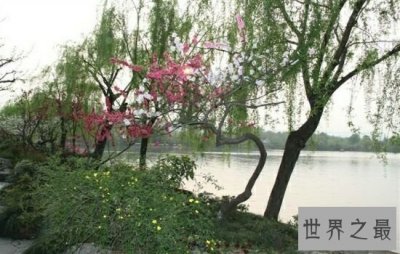 ​清明小长假国内十大踏春胜地，假期就该去旅行。