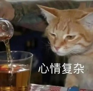 一语惊人,给人CPU都干烧了!