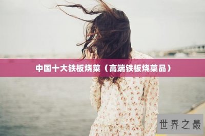 ​中国十大铁板烧菜（高端铁板烧菜品）