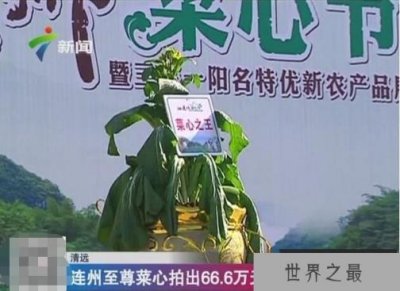 ​关于蔬菜的吉尼斯纪录，＂最贵菜心＂66万(最大南瓜重1吨)
