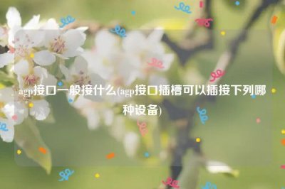 ​agp接口一般接什么(agp接口插槽可以插接下列哪种设备)
