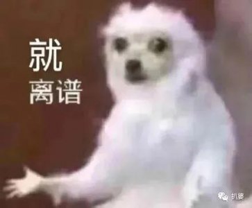 ​嫁富豪、做律师、成糊糊……那些年的香港小姐现今如何？