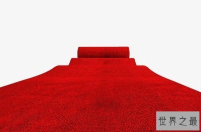 ​世界最长的红地毯，表示感谢的象征