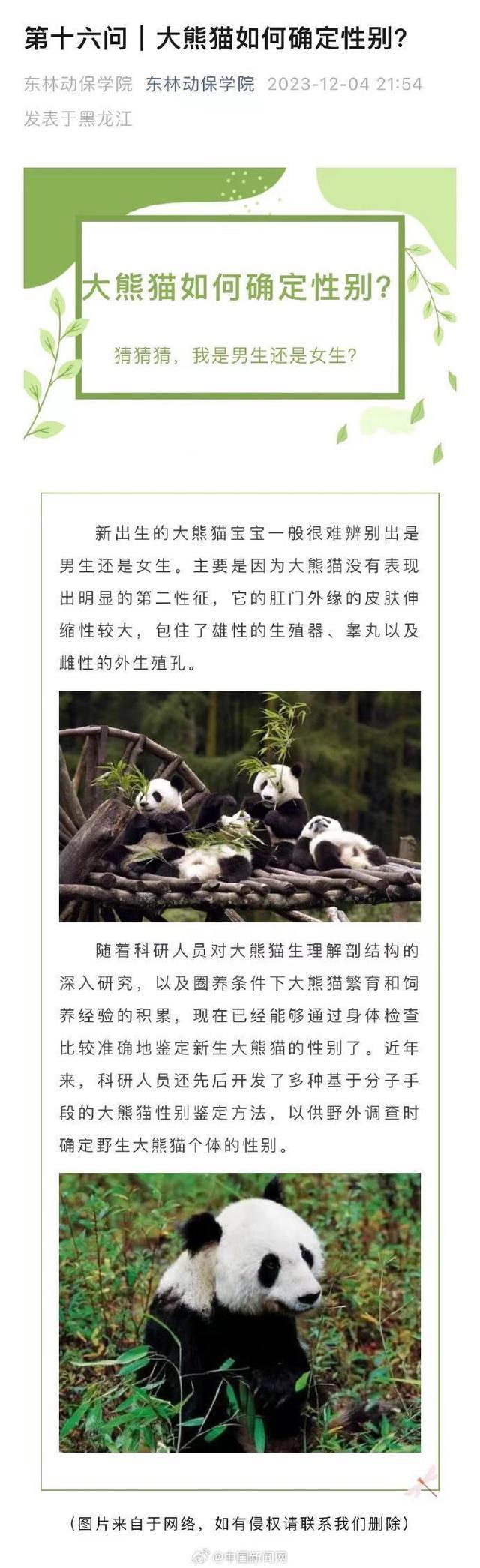 一觉醒来和叶弟弟变妹妹!和叶花花原来是姐妹