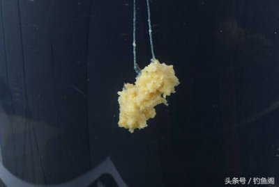 ​鲫鱼用什么钓（鲫鱼用什么钓法）