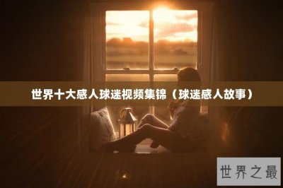 ​世界十大感人球迷视频集锦（球迷感人故事）