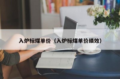 ​入炉标煤单价（入炉标煤单价绩效）
