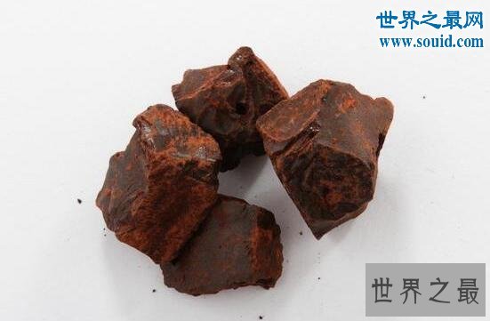 最奇特的树，千年树妖龙血树(会流血)