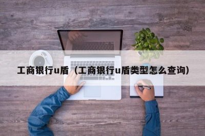 工商银行u盾(工商银行u盾类型怎么查询)