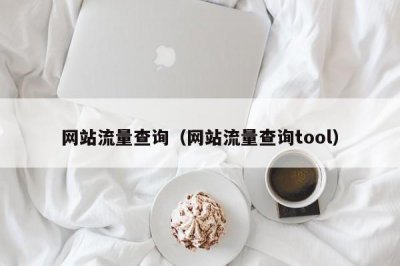 ​网站流量查询（网站流量查询tool）