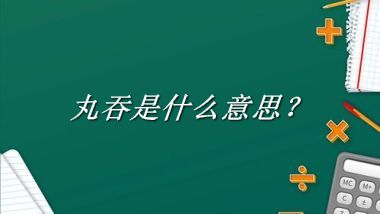 丸吞是什么意思?