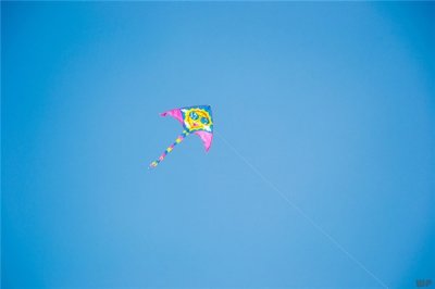 ​拔山涉水是什么（拔山涉水是什么数字）