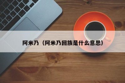 ​阿米乃（阿米乃回族是什么意思）