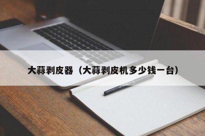 ​大蒜剥皮器（大蒜剥皮机多少钱一台）