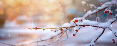 ​霜降完了什么节气 霜降过完是什么节气