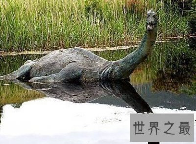 ​一个水怪的真相，整整骗了人们60年