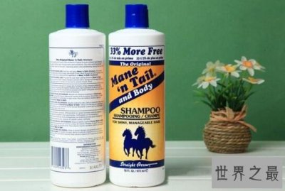 世界十大洗发水品牌排行榜,箭牌洗发水宠物也可用
