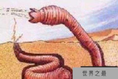 沙漠十大恐怖动物:死亡之虫会喷出毒液让人致命