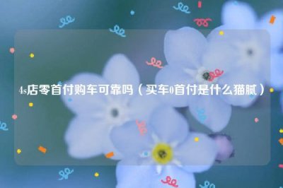 ​4s店零首付购车可靠吗（买车0首付是什么猫腻）