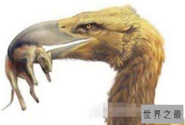 世界上最强大的鸟,恐怖鸟(明明就是一头恐龙)