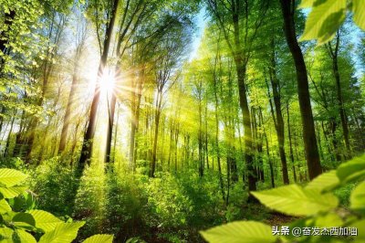 科学小知识:彩虹的形成