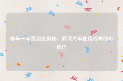 ​养车一年费用全揭秘，降低汽车使用成本的小技巧
