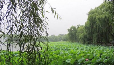​圆明园最著名 圆明园是当时世界上最大的什么和什么地方
