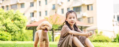 ​狗看见人跑为什么会追 狗看见人就跑预示了什么