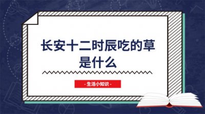 ​长安12时辰吃的什么叶子 长安十二时辰嚼的什么