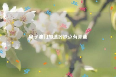 ​电子油门加速器缺点有哪些