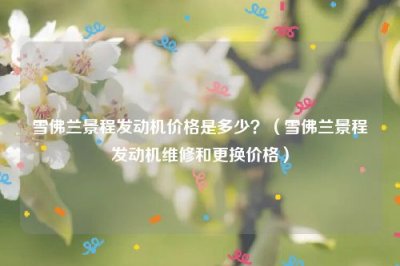 ​雪佛兰景程发动机价格是多少？（雪佛兰景程发动机维修和更换价格）