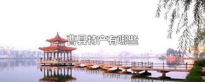 ​山东曹县特产有哪些土特产 山东曹县特产有哪些东西