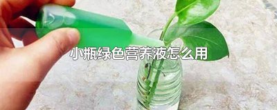 ​小瓶营养液怎样使用 小绿瓶营养液有用吗?